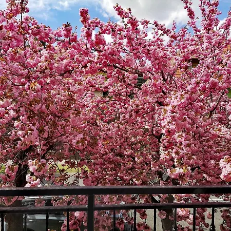 公寓 Marcipan Hévíz