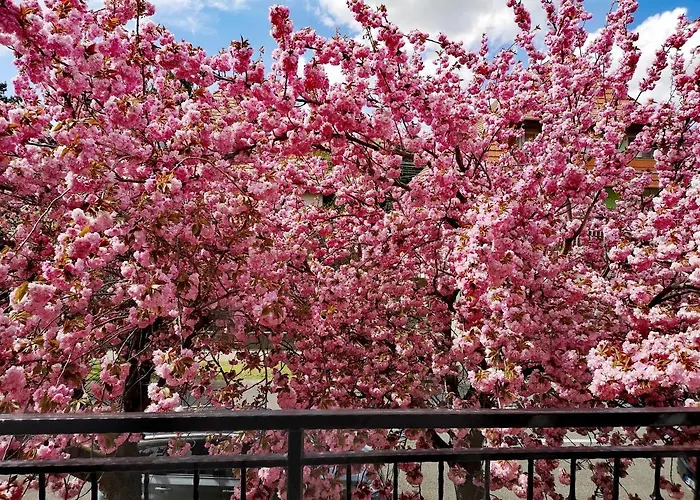 דירה Marcipan Hévíz